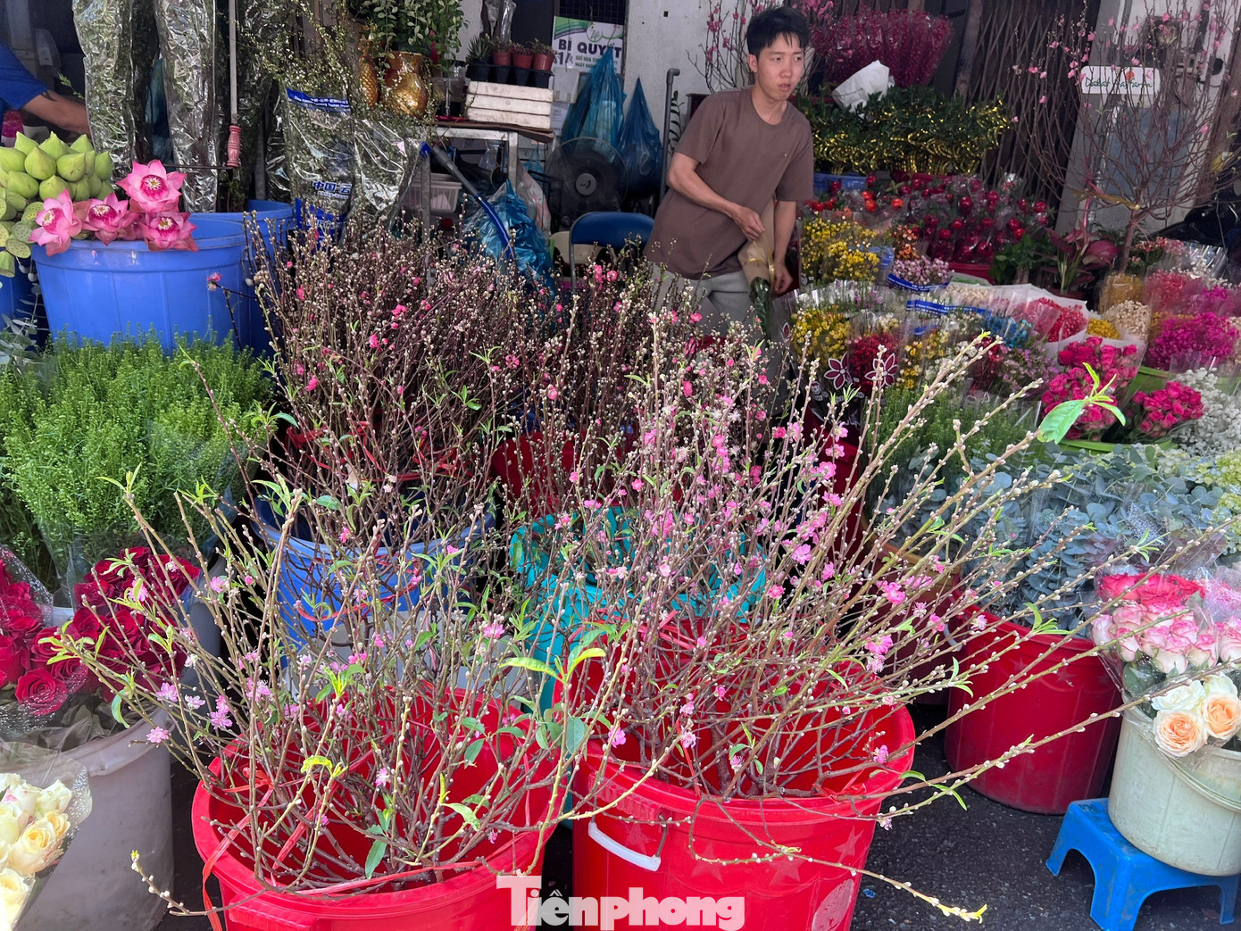 tp-dao-tet-uyen-phuong-16.jpg
