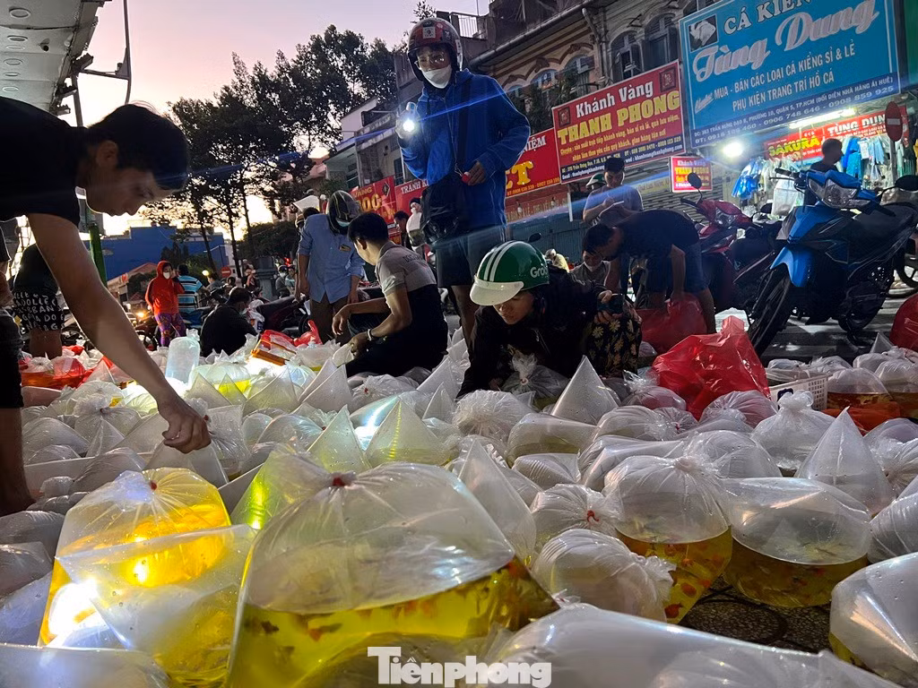 tp-ca-uyen-phuong-3.jpg