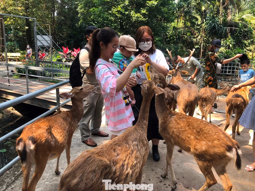 tp-tcv-uyen-phuong-3.jpg