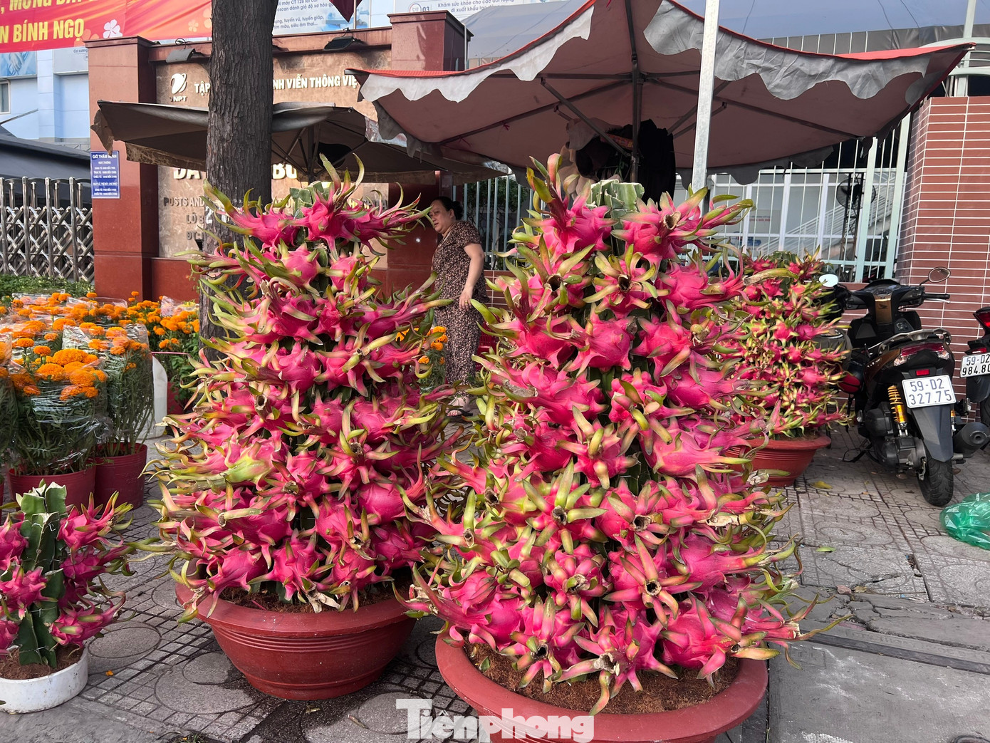 tp-hoa-tet-uyen-phuong-15.jpg