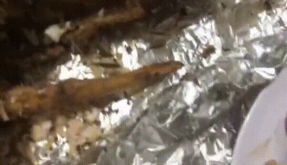 Hình ảnh món cá lóc có dòi Hình ảnh món cá lóc có dòi