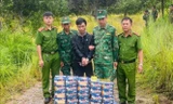 Tóm gọn hai đối tượng chở pháo lậu qua biên giới
