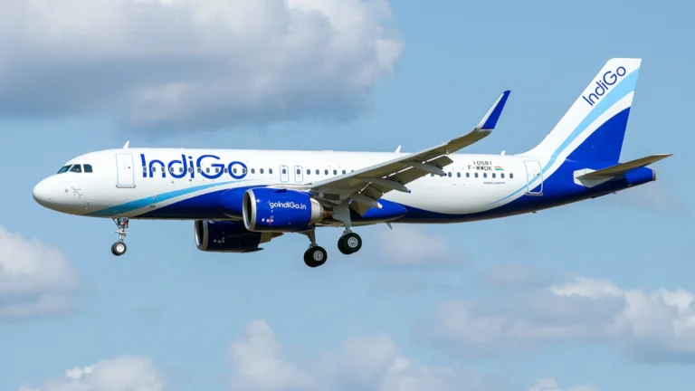 indigo-11zon.png