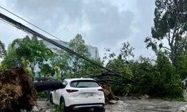  Bão số 5 đổ bộ, gần 250.000 hộ dân ở Thanh Hóa mất điện