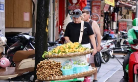 'Thị cô Tấm' xuống phố, giá 150.000 đồng/kg