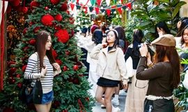 Xếp hàng chụp ảnh Giáng sinh sớm tại các quán cafe