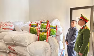 Triệt phá đường dây bán gạo giả nhãn hiệu 'Thơm Lài Sữa'