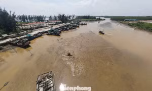 Cảng cá được đầu tư 43 tỷ đồng bỏ hoang