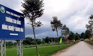 Nam sinh bị nhóm bạn cùng trường hành hung đến nguy kịch
