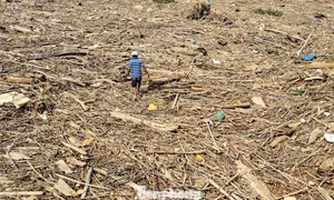 Rác ‘bủa vây’ cảng cá, khu neo đậu tàu thuyền ở Hà Tĩnh