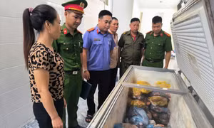 Khởi tố đối tượng giết mổ, tiêu thụ thịt lợn nhiễm dịch tả châu Phi