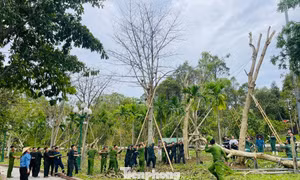 'Vượt nắng, thắng mưa' giúp dân khắc phục hậu quả bão số 5