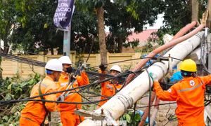Suốt đêm ngày dựng lưới điện bị bão số 5 'xé tan' 