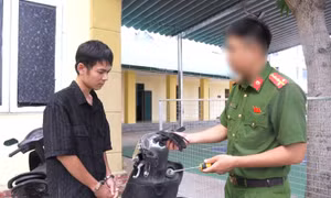 Bắt 'đạo chích' gây loạt vụ trộm ở khu đô thị