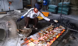 Khom lưng nướng cá cả ngày lẫn đêm cận Tết