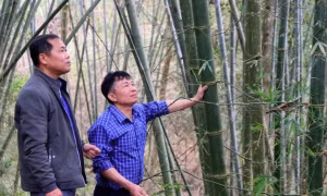 Người có uy tín ở vùng cao Nghệ An
