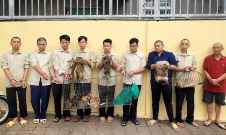 Mang súng điện, hơi cay đi 'săn' mèo, nhóm thanh niên sa lưới