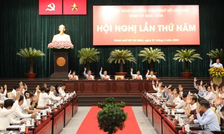 Thành ủy TPHCM lập 4 đoàn khảo sát hoạt động của cấp xã