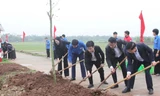 Tỉnh Đoàn Ninh Bình phát động Tết trồng cây đời đời nhớ ơn Bác Hồ