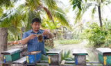 Bỏ nghề IT về quê nuôi ong, chàng trai Cần Thơ kiếm tiền tỷ mỗi năm