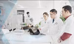 AI là đối thủ hay trợ lí số của bác sĩ?