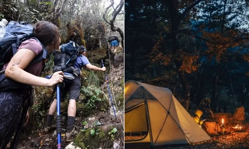 Người đi rừng vào buổi tối không tạo tiếng động