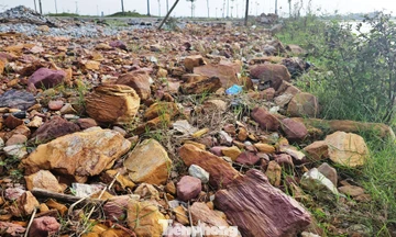 Sau mưa lũ, phát lộ bãi ‘đá lạ’ tại dự án đường gần 195 tỷ ở Huế