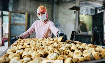 'Đột nhập' lò bánh thuẫn trăm năm ngày áp Tết