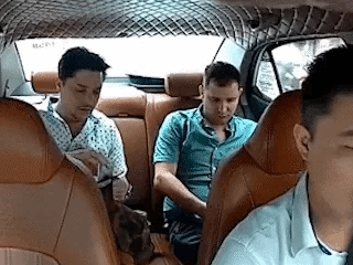 Thấy khách đưa nhầm mệnh giá tiền, tài xế taxi liền giải thích và trả lại (Nguồn TikTok: Toản taxi đi là đến).