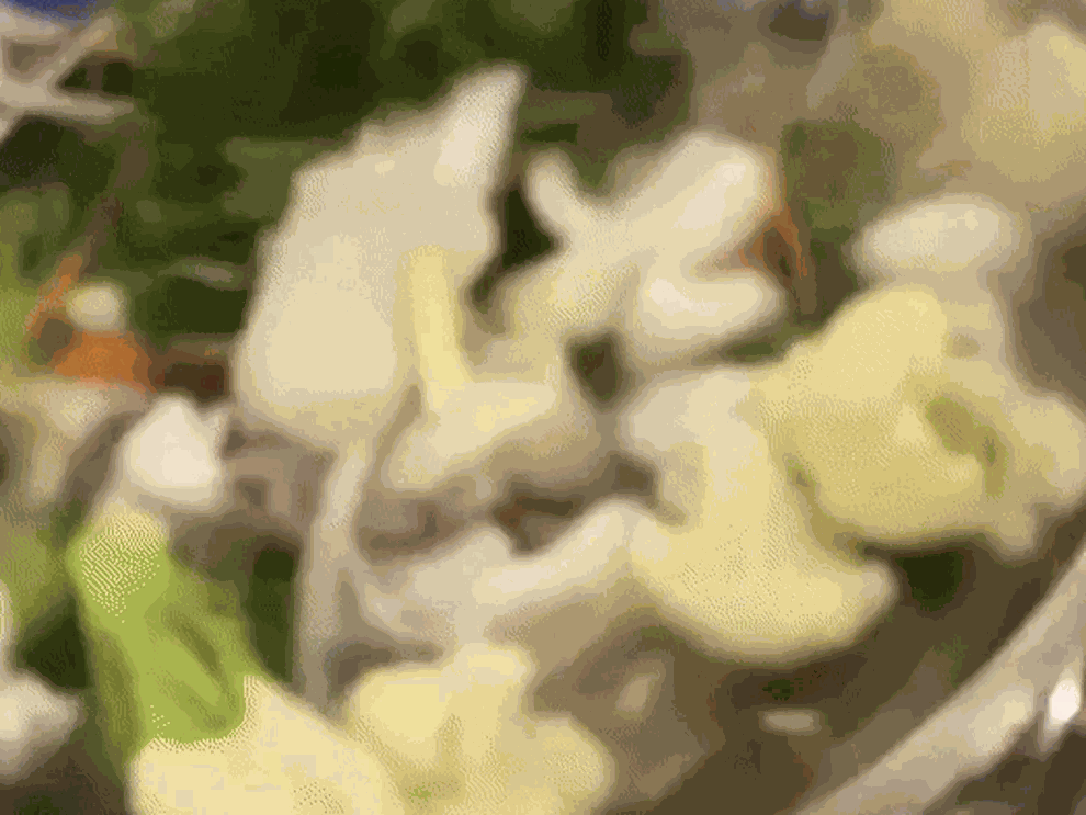 Mâm cỗ có 4 món chính đều là đồ luộc, hấp (Ảnh cắt từ clip).