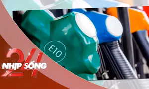 NHỊP SỐNG 24: Sớm triển khai lộ trình chuyển đổi sang xăng E10 từ 4/2026