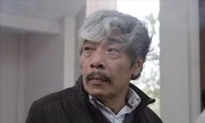 Cơn sốt 10 năm có một 