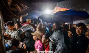 Hàng nghìn người xếp hàng dưới mưa để xin ấn đền Trần 