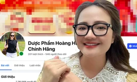 Doanh nhân Hoàng Hường là ai, vì sao bị khởi tố?