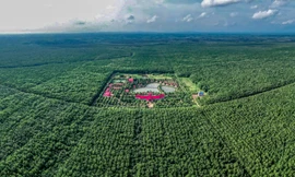 Cao su Chư Sê - Kampong Thom và cuộc chuyển mình mạnh mẽ