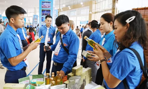 Tuổi trẻ Cơ quan Ủy ban T.Ư MTTQ Việt Nam hiến kế hỗ trợ thanh niên khởi nghiệp