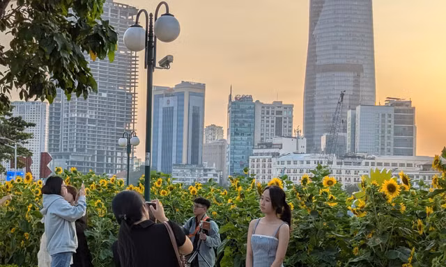 Giới trẻ hào hứng check-in cùng hoa hướng dương giữa lòng Sài Gòn