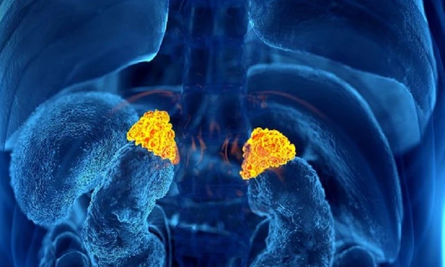 Cảnh báo hiểm họa từ loại thuốc 'uống vào là đỡ' khi đau nhức