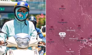 Bão số 3 Kujira được dự báo không ảnh hưởng trực tiếp đến đất liền Việt Nam.