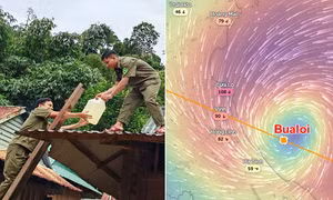Dự báo bão Bualoi bắt đầu gây gió mạnh từ bao giờ, cao điểm tại tỉnh nào?