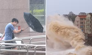 Sóng cao hơn 15 mét ở ven biển tỉnh Chiết Giang khi bão Bavi tiến gần.