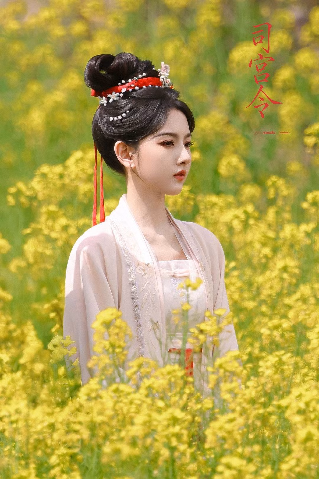 tong-to-nhi-8.jpg