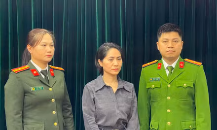 Xét xử nữ giám đốc tổ chức show 'Về đây bốn cánh chim trời' 