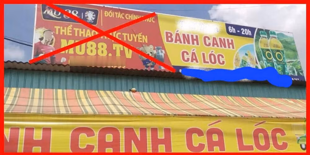 vl1.jpg