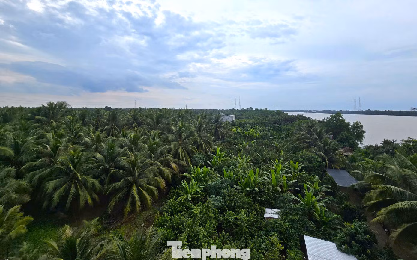 tp-bentre.jpg