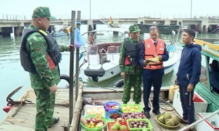 Báo động nạn đeo bám tàu, bán hàng rong trên vịnh Hạ Long