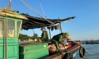 Quảng Ninh huy động hàng chục nghìn người, phương tiện ứng trực bão số 11