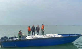 Quảng Ninh bắt giữ 3 xuồng máy chở 27 tấn cau khô không rõ nguồn gốc