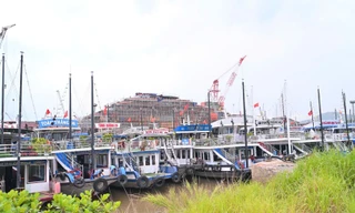 Quảng Ninh tạm dừng cấp phép tàu du lịch hoạt động trên vịnh Hạ Long
