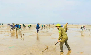 Hàng trăm cán bộ lội nước 'dẹp loạn' nuôi trồng thủy sản trái phép